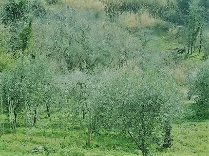 فيلة Villino Le Terrazze